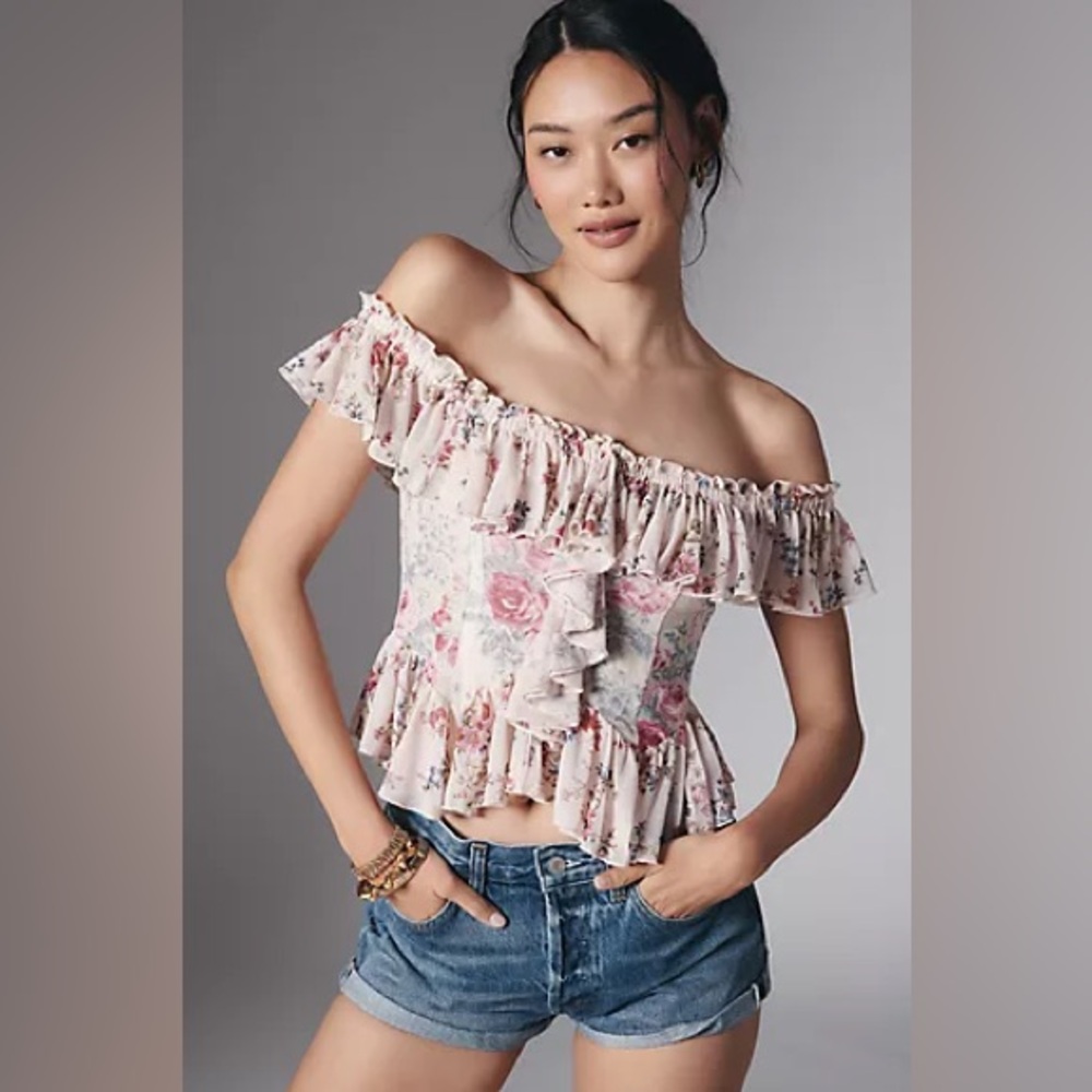 By Anthropologie Off-The-Shoulder Mesh Top Size Medium NWT